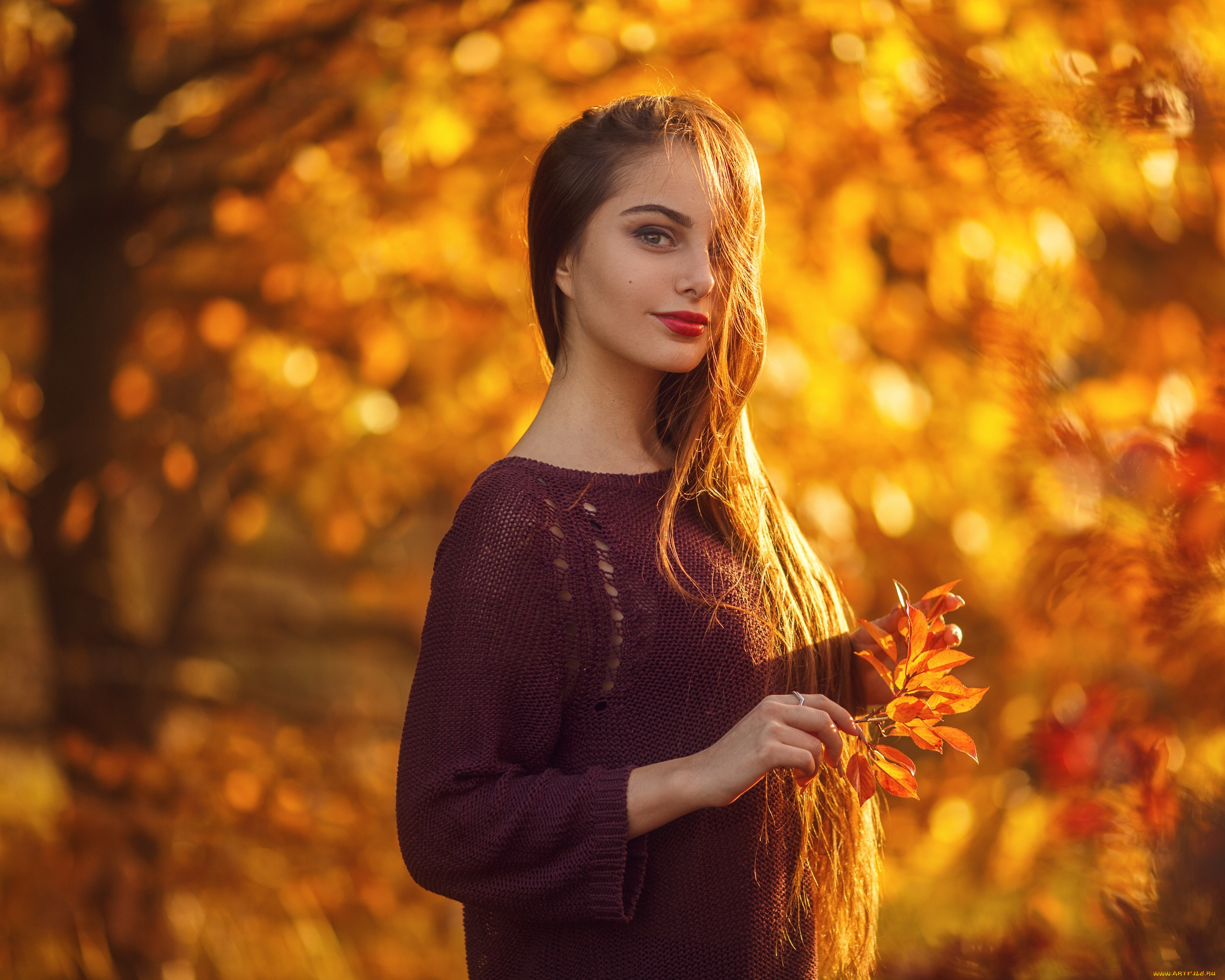 Осенняя девушка. Сергей Сорокин фотомодели. Девушка осень. Девушка осенью. Осенний портрет.